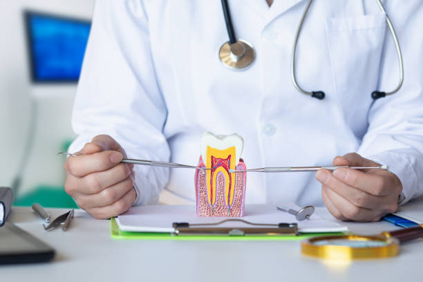Best Emergency Root Canal Treatment in Aberdeen, WA